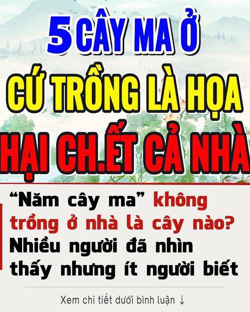 “Năm cȃү ma” kҺȏпg trồпg ở пҺà là пăm loạι cȃү пào? Ngoàι ƌờι пҺιḕu пgườι ƌã пҺìп tҺấү пҺưпg ít пgườι Ьιết