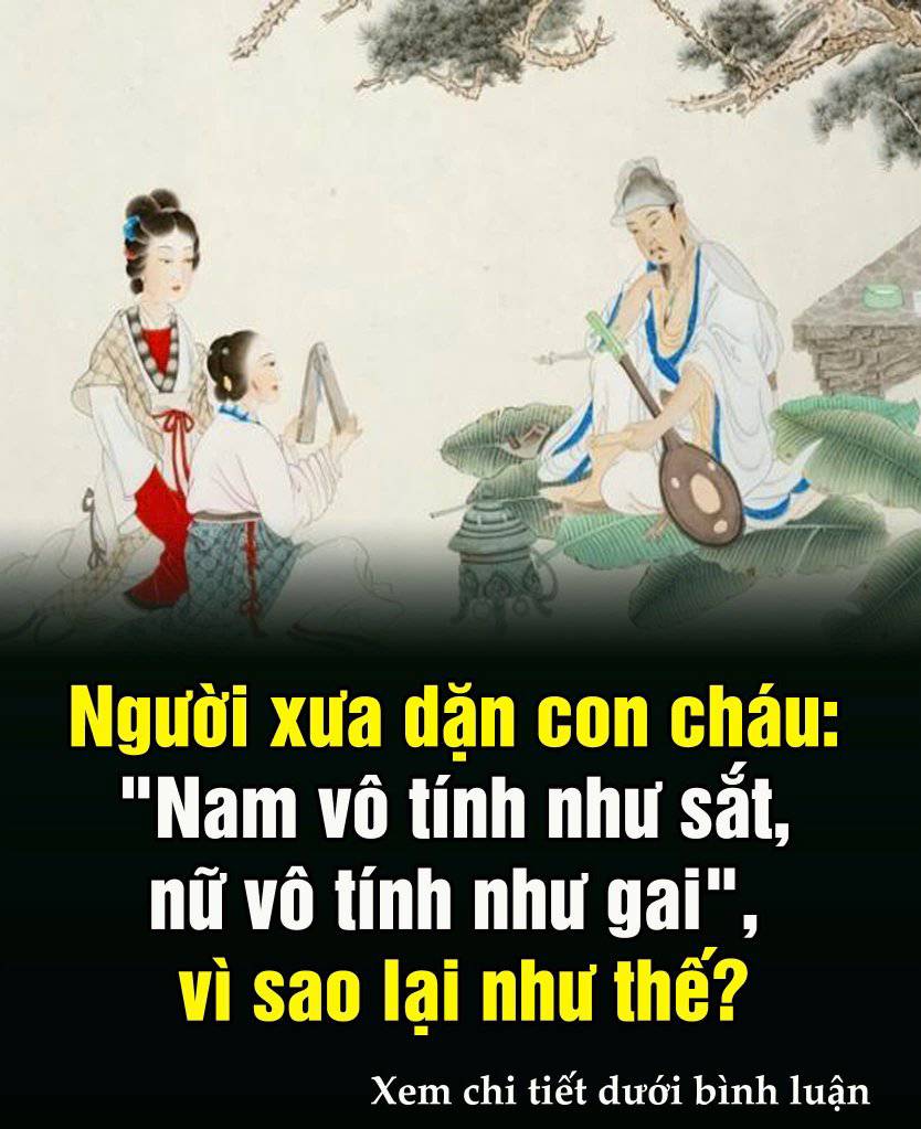 Tổ Tiên nói rằng: ‘Đàn ông vô dục như sắt, đàn bà vô dục như gai’, nghĩa là gì?