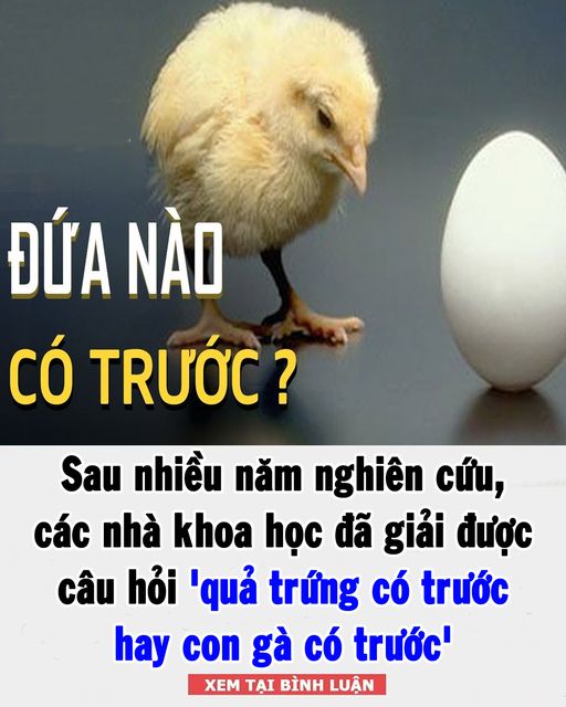 Đáp án vô cùng bất ngờ