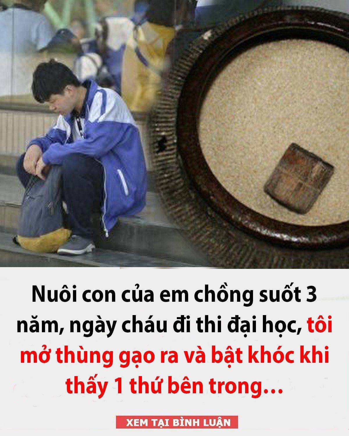 Nuôi con của em chồng suốt 3 năm, ngày cháu đi thi đại học, tôi mở thùng gạo ra và bật khóc khi thấy 1 thứ bên trong… 👇👇👇