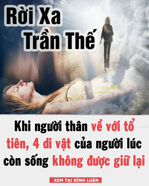 4 di vật đó là gì 👇