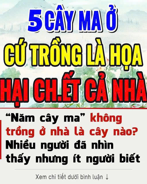 Năm cây ma chính là