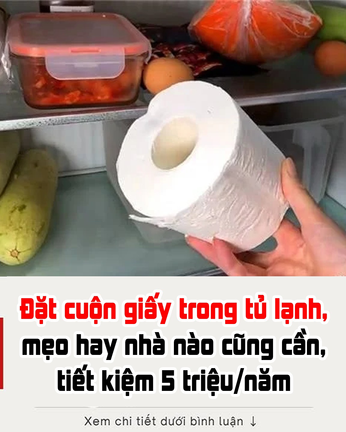 Đặt cuộn giấy trong tủ lạnh, mẹo hay nhà nào cũng cần, tiết kiệm 5 triệu/năm