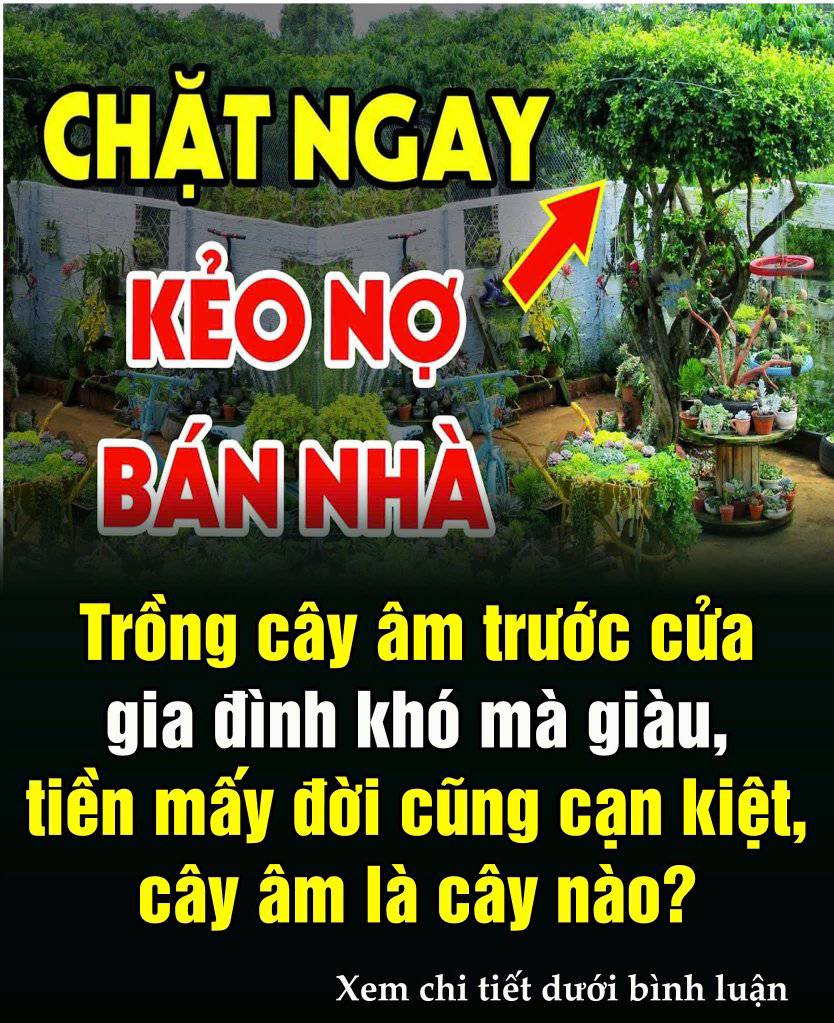 Trồng cây âm trước cửa gia đình khó mà giàu, tiền mấy đời cũng cạn kiệt,