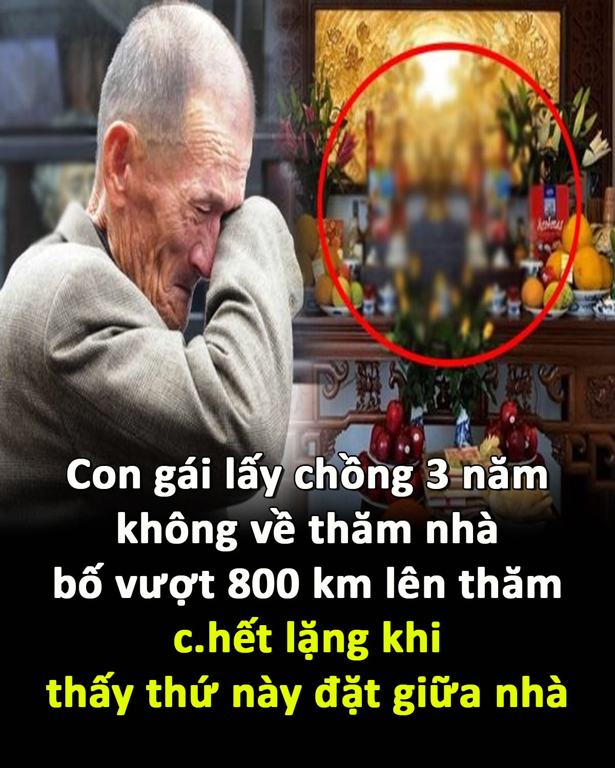 Nào có ngờ…