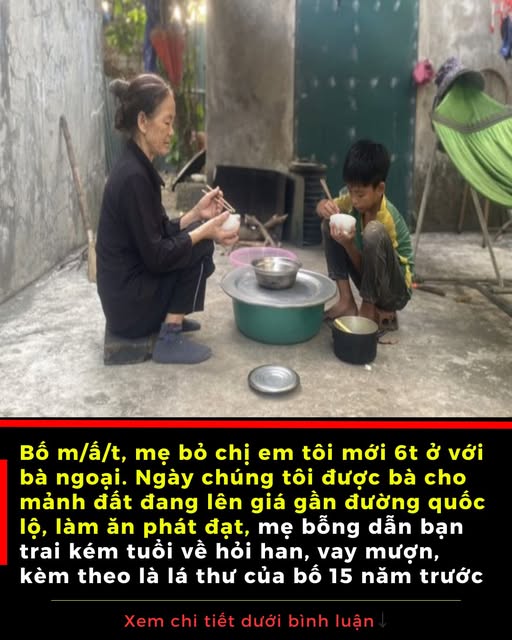 Bố m/ấ/t, mẹ bỏ chị em tôi mới 6t ở với bà ngoại. Ngày chúng tôi được bà cho mảnh đất đang lên giá gần đường quốc lộ, làm ăn phát đạt, mẹ bỗng dẫn bạn trai kém tuổi về hỏi han, vay mượn, kèm theo là lá thư của bố 15 năm trước