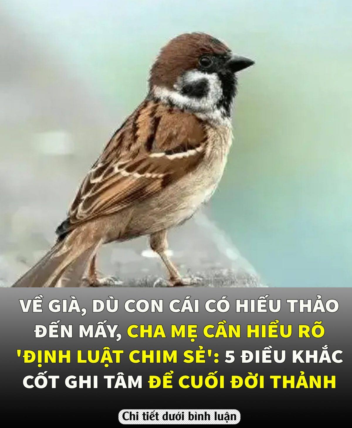 5 điều KHẮC CỐT GHI TÂM để cuối đời thảnh thơI…