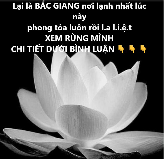 Năm hết tết đến rồi cả nhà ko còn 1 ai s.ô.n.g s.o.t phong tỏa luôn rồiXEM RÙNG MÌNH CHI TIẾT DƯỚI BÌNH LUẬN 👇 👇 👇