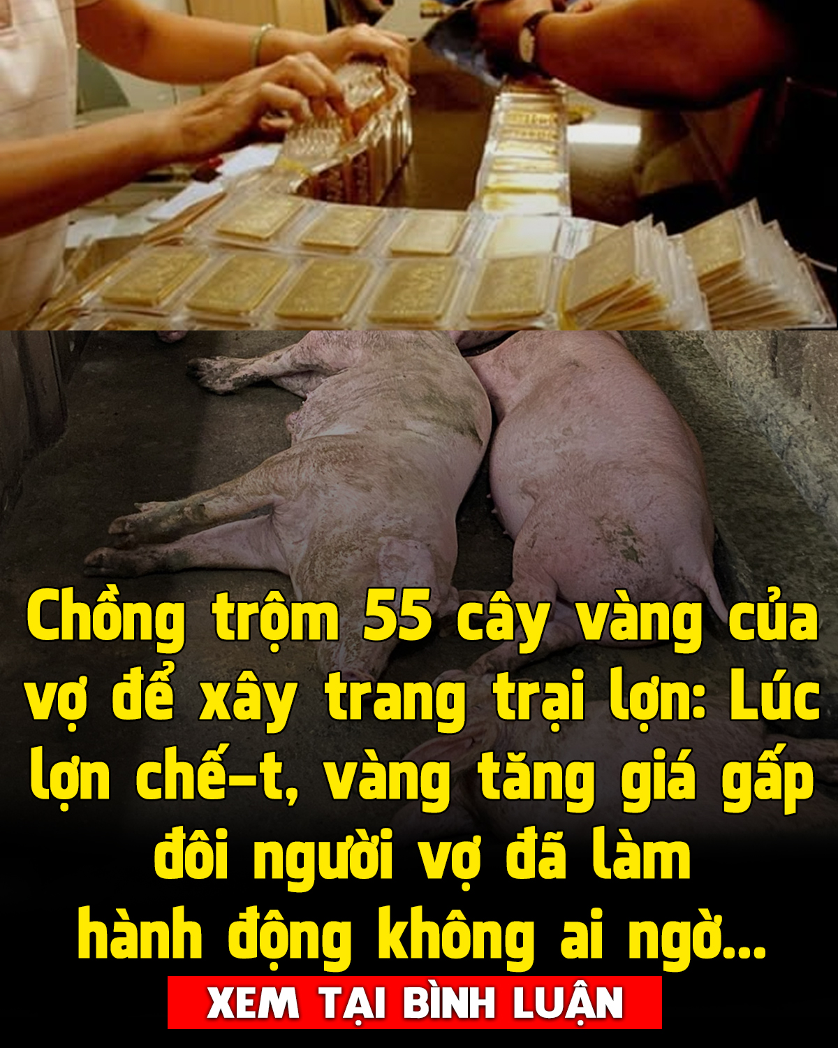 Chuyện khó tin nhưng có thật ạ! Thua keo này ta bày keo khác! 💪