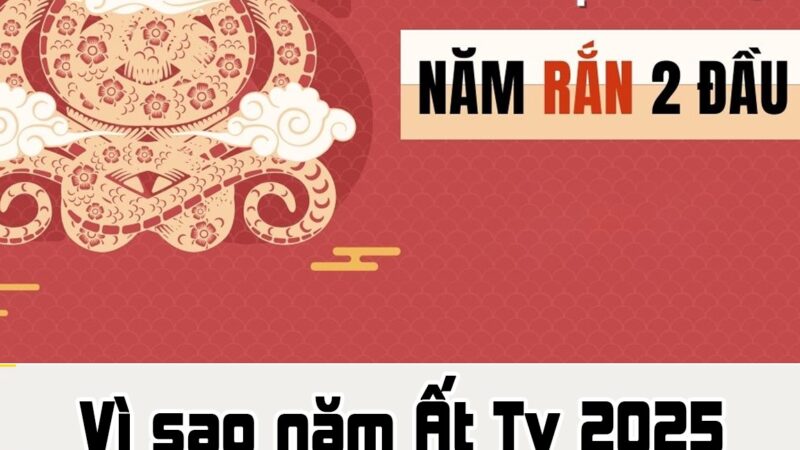 Vì sao năm Ất Tỵ 2025 được gọi là năm Rắn hai đầu? Lý do rất đặc biệt