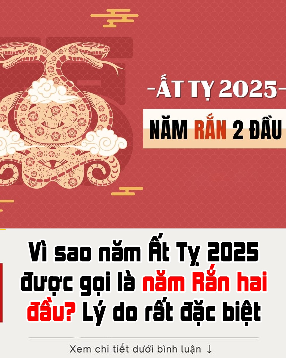 Vì sao năm Ất Tỵ 2025 được gọi là năm Rắn hai đầu? Lý do rất đặc biệt