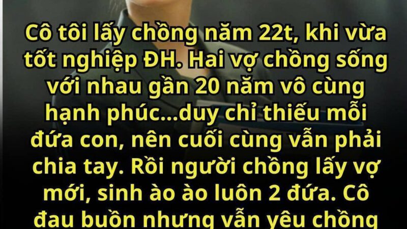 Cô tôi lấy chồng năm 22t, khi vừa tốt nghiệp ĐH. Hai vợ chồng sống với nhau gần 20 năm vô cùng hạnh phúc…