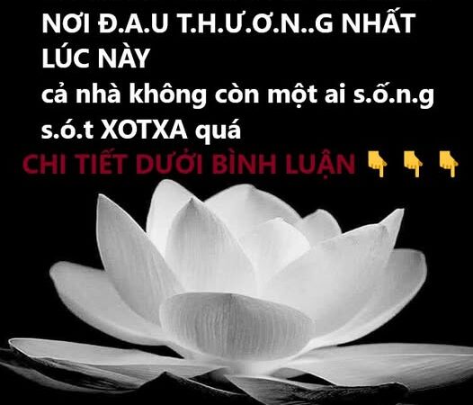 HÀ TĨNH -Nơi đ;;au th:;ương nhất lúc này: Ô tô rơi xuống sông, 2 người tu:v:ong th:ương t:âm quá!