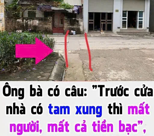 Ý nghĩa của cây nói này là